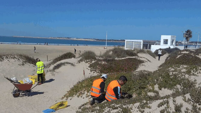 Una imagen de trabajos de regeneración en la playa de Levante.