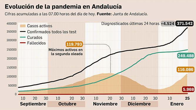 Balance de la pandemia en Andalucía a 25 de enero de 2021.