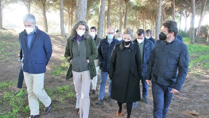 Los representantes políticos y técnicos de la Junta y el Ayuntamiento durante la visita al pinar de Las Dunas el 14 de enero.