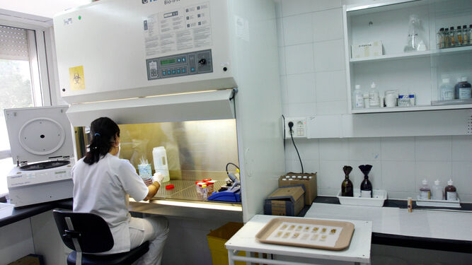 Una joven investiga en un laboratorio.