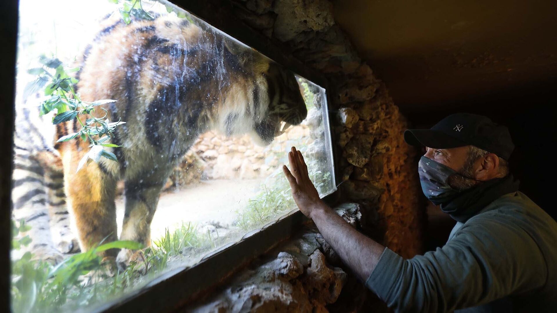 Las fotos del Zoo de Castellar de la Frontera