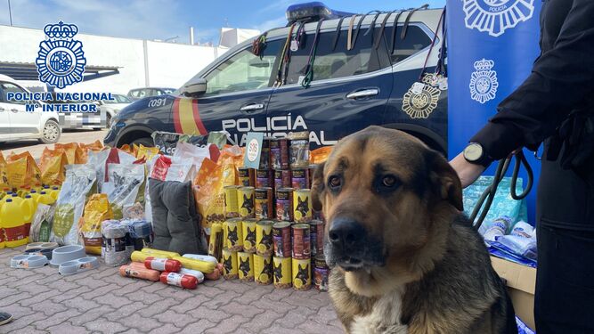 Un perro policía, junto a los alimentos y enseres donados.
