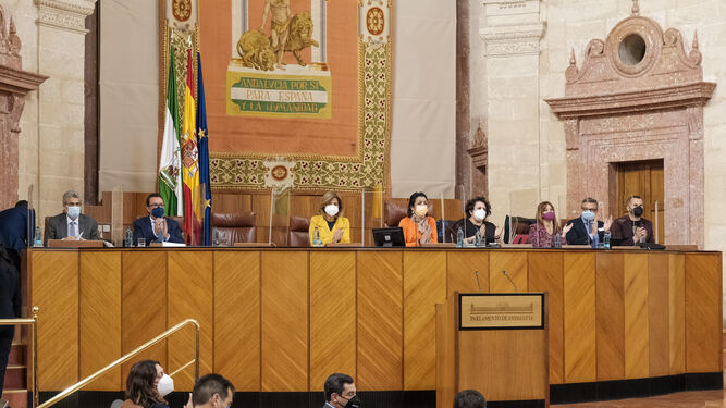 Los parlamentarios aplauden tras la lectura de la declaración institucional.