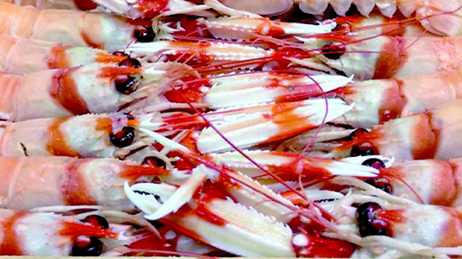 La Dehesa del Marisco, tradición con sabor a mar.