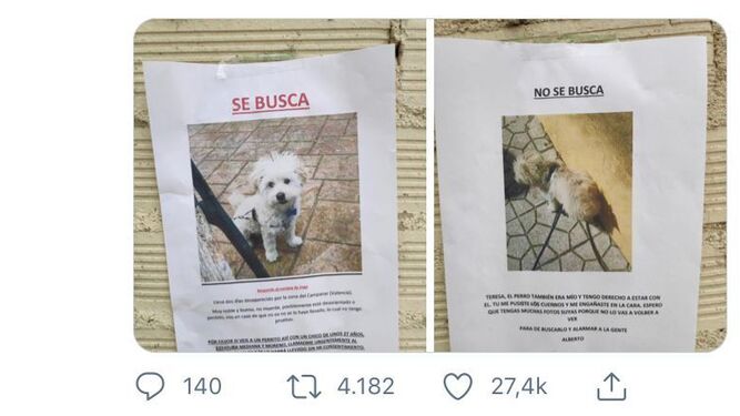 Viral pelea de ex novios sobre la "desaparición" del perro
