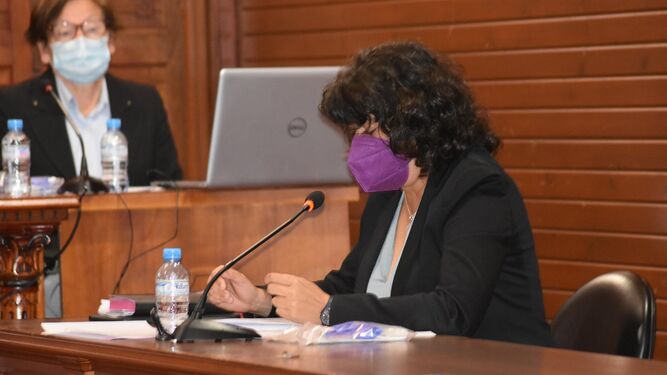 La portavoz de IU, Carmen Álvarez, lamentando en el pleno el rechazo de las alegaciones presentadas por esta formación política.