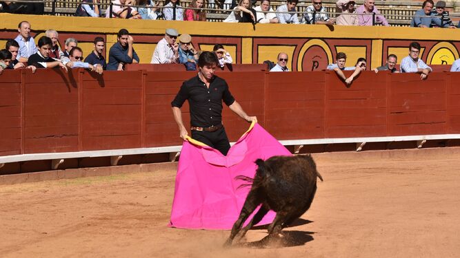 El torero Canales Rivera realiza una exhibición con un becerro en Algeciras en 2017.