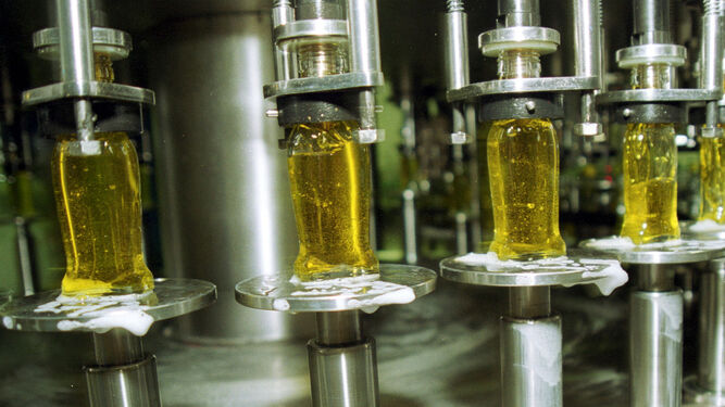 En la imagen, botellas de aceite en la cadena de producción.