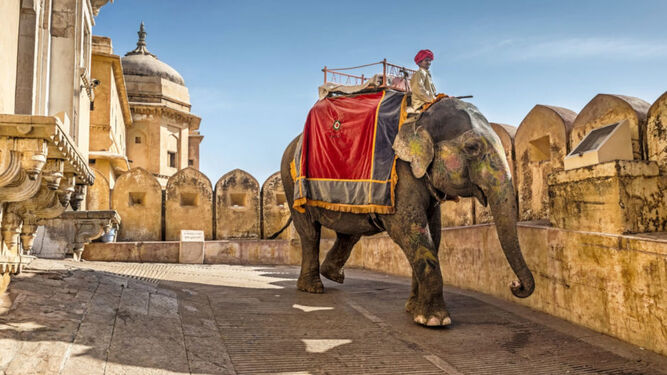 Los ahora secuestrados fueron llevados al palacio del rajá Siripada montados en elefantes, unos animales que no habían visto en la vida.