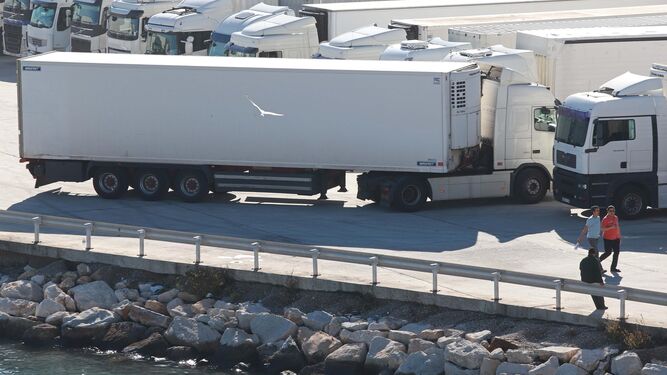 Varios camiones en el Puerto de Algeciras, uno de los tráficos crecientes.