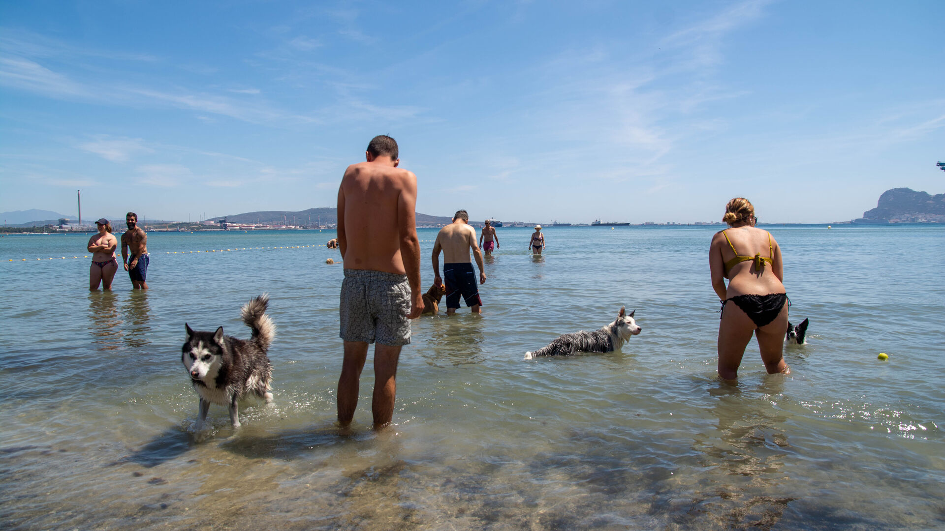 Una Tarde de perros en la playa
