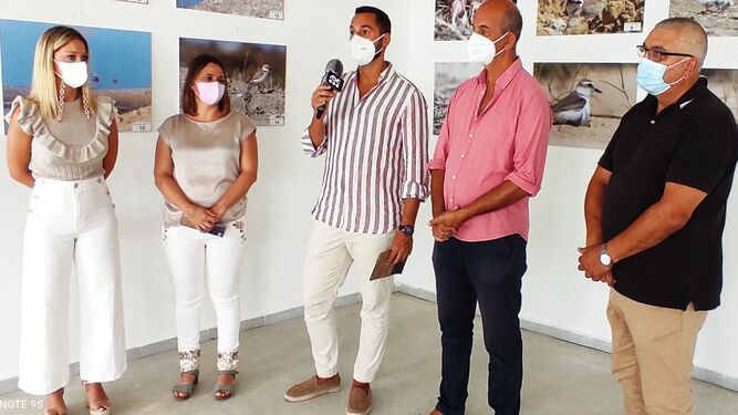 La exposición sobre el chorlitejo en Tarifa