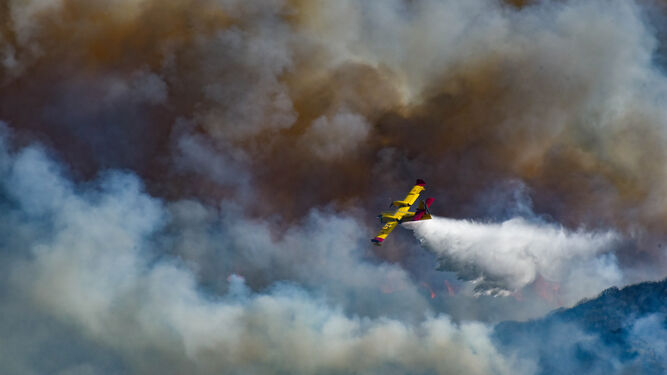 Un avión trabaja para extinguir el incendio.