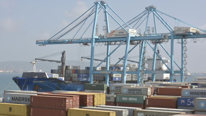 Varias grúas cargando contenedores en el puerto de Algeciras.
