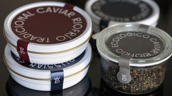 Una muestra del caviar elaborado por la compañía Riofrío.
