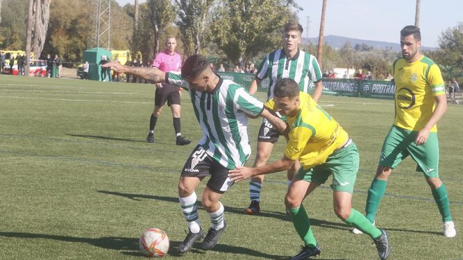 Una disputa entre el Córdoba B y la UD Los Barrios.