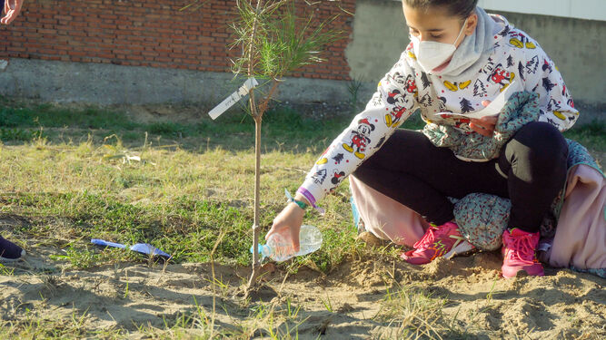 Una alumna de Palmones riega un árbol recién plantado.