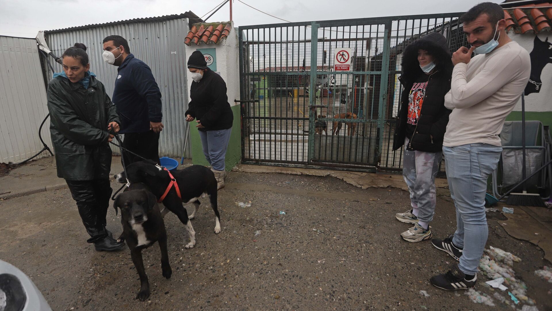 Fotos de la evacuaci&oacute;n preventiva de la perrera de Los Barrios