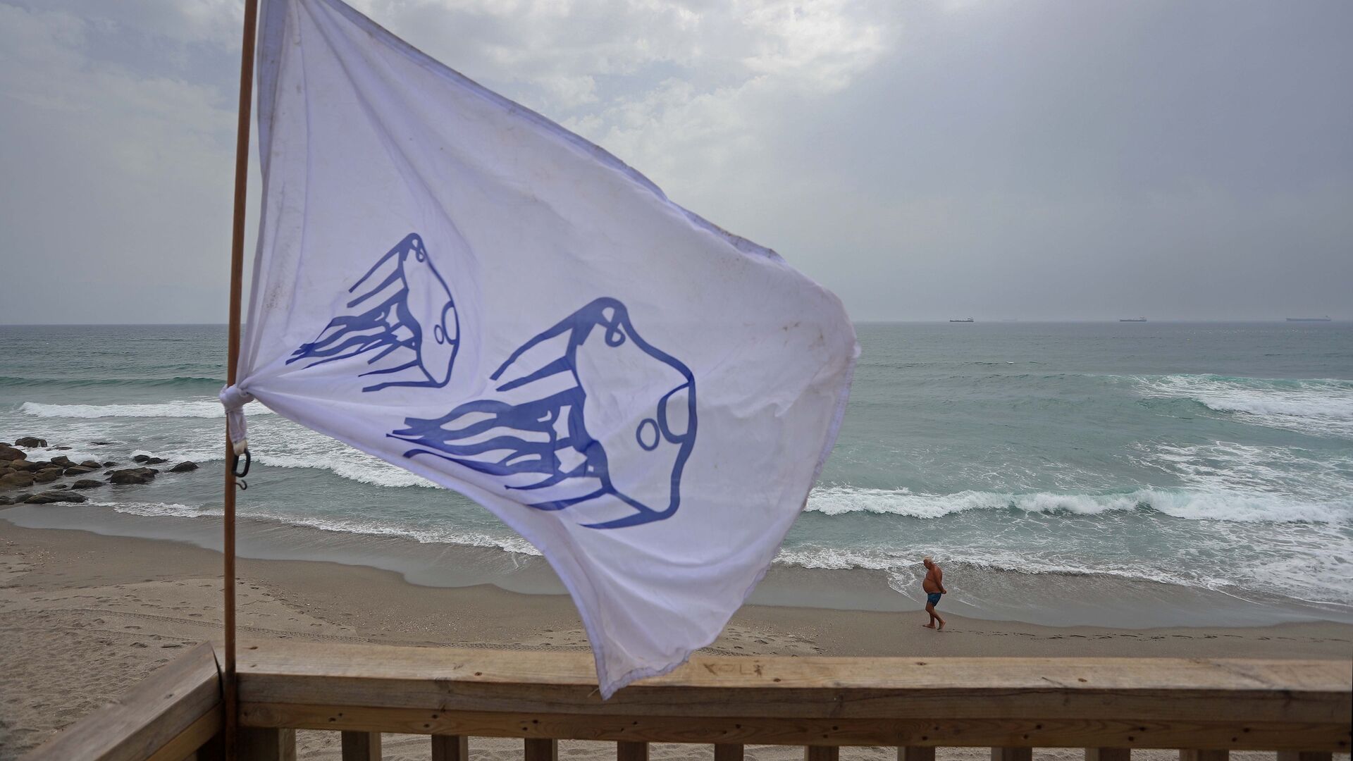 Los ayuntamientos desaconsejan el ba&ntilde;o en varias playas en la comarca por la abundante presencia de medusas.  Una bandera advierte de la presencia de medusas en el levante linense.