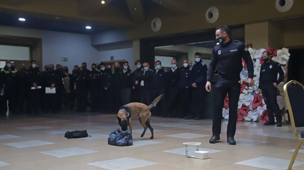 Fotos de la clausura del curso de gu&iacute;as caninos y perros detectores de droga en Los Barrios