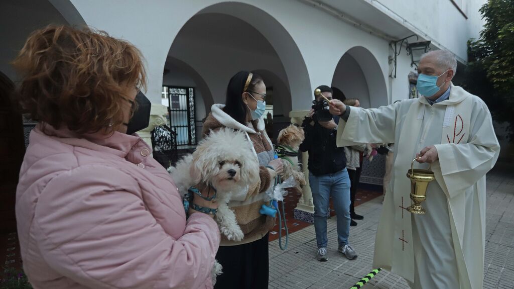 Fotos de la bendici&oacute;n de animales en la parroquia del Carmen en Algeciras