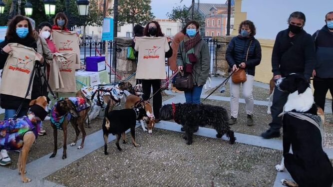 Miembros de la plataforma #Playasdogfiriendlycadiz, protestan contra el Ayuntamiento el Día de San Antón.