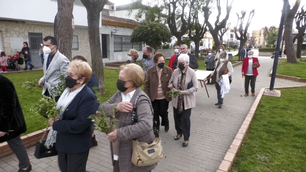 Las fotos del domingo de palmas y olivos en San Roque