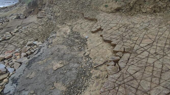 Los icnofósiles robados en Algeciras.
