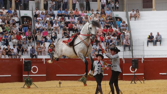 El espectáculo 'Cómo bailan los caballos andaluces' en San Roque.