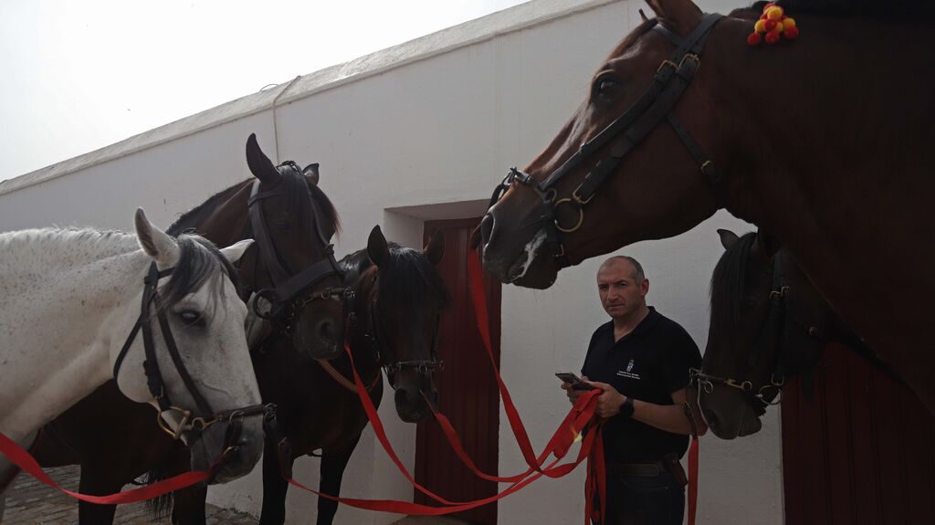 Fotos del espect&aacute;culo 'C&oacute;mo bailan los caballos andaluces' en San Roque