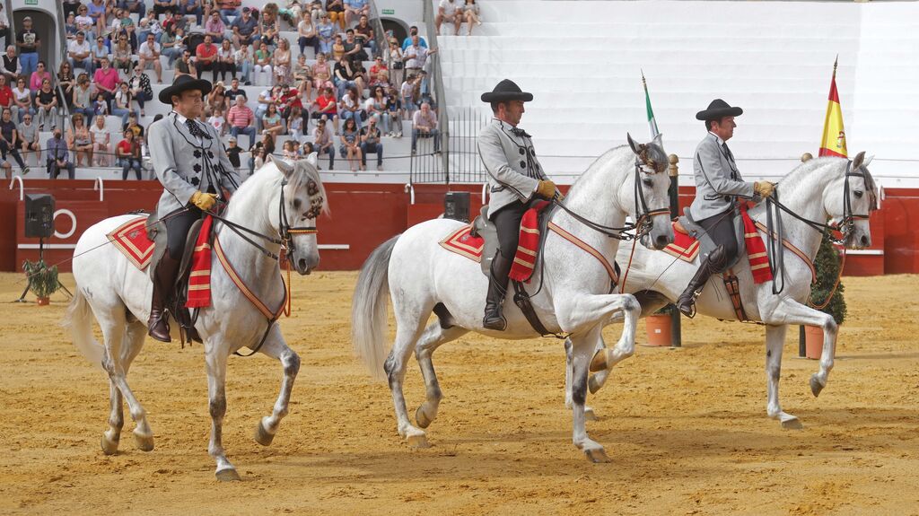 Fotos del espect&aacute;culo 'C&oacute;mo bailan los caballos andaluces' en San Roque