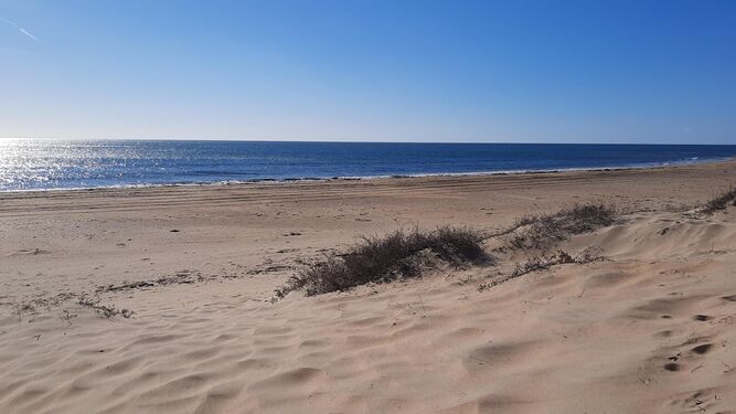 Más de 120 kilómetros de infinitas playas de arena fina y cerca de tres mil horas de sol acompañan anualmente