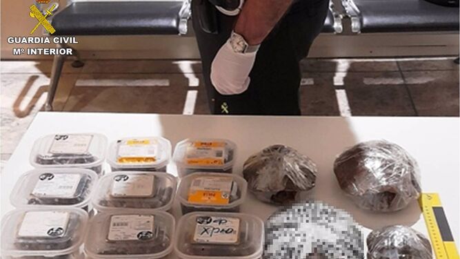 Halladas 46 tortugas y cangrejos vivos en la maleta de un pasajero en el aeropuerto de Alicante