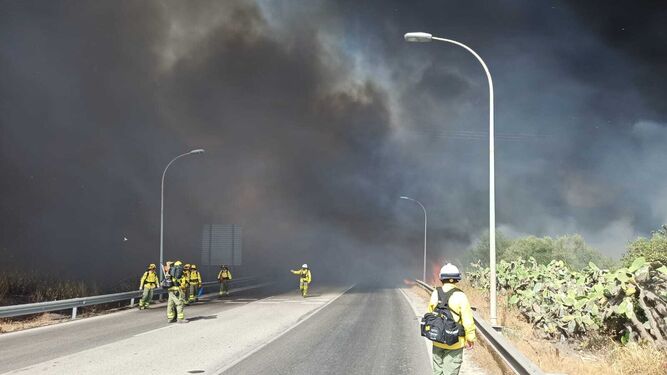 Desalojadas varias viviendas en Jerez por el incendio que ha cortado la AP-4 y la A-381