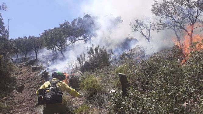 Bomberos trabajando en el incendio en la Sierra de Mijas