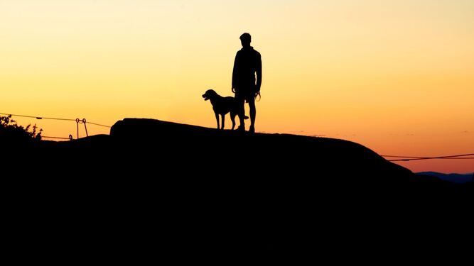 Una ilustración de 'Un chico y su perro en el fin del mundo'.