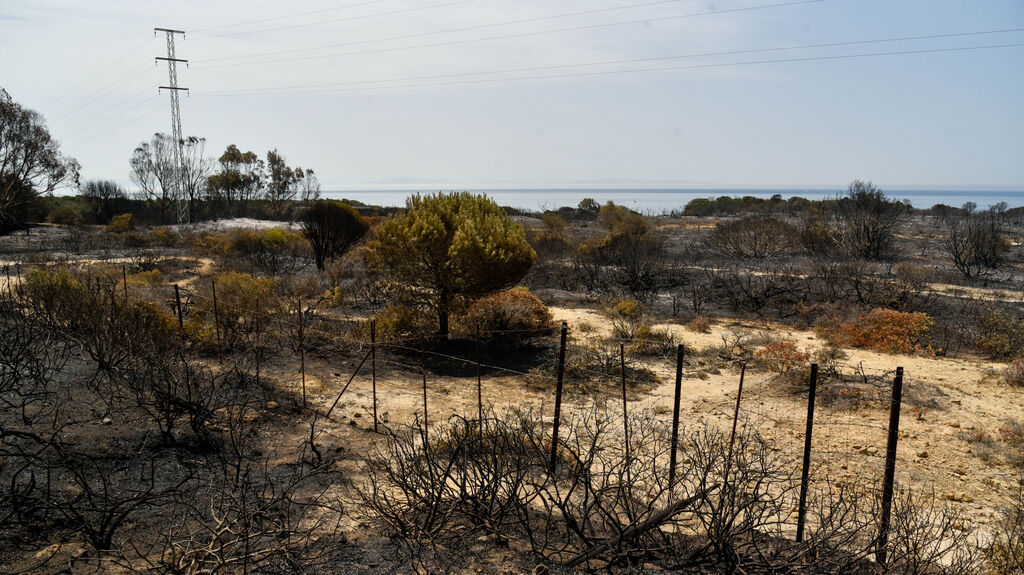 Fotos del incendio de Valdevaqueros que arras&oacute; con 11 hect&aacute;reas de Parque Natural del Estrecho