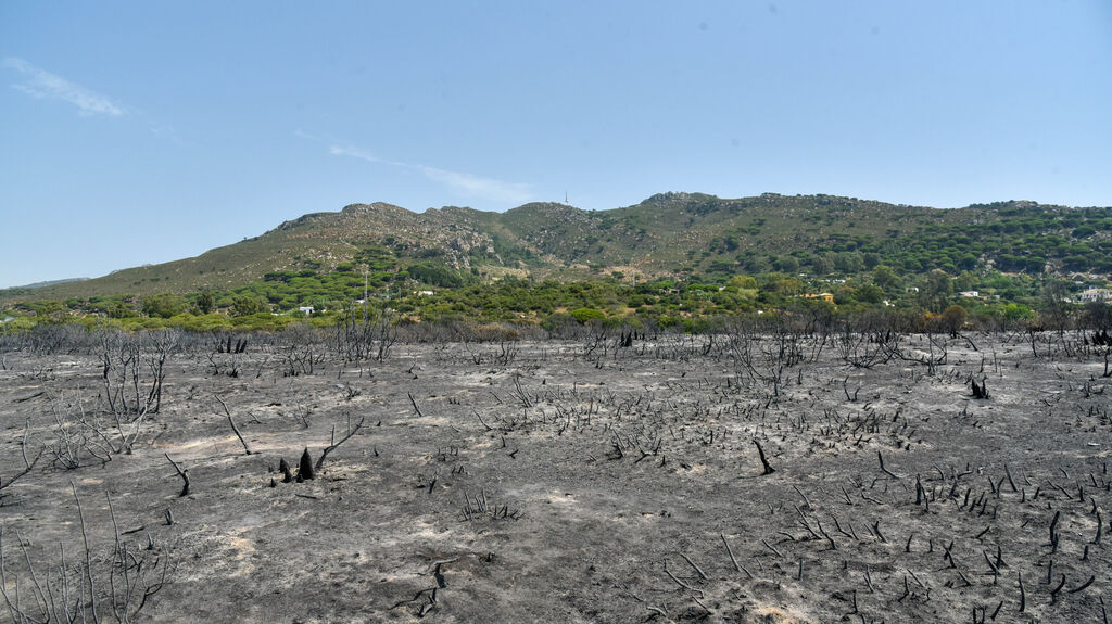 Las fotos de la zona afectada por el incendio de Valdevaqueros