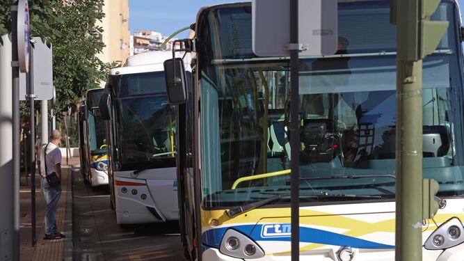 Autobuses en la Acera de la Marina, en Algeciras.