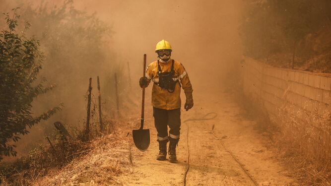Un bombero en la extinción de un incendio forestal