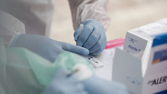Un sanitario comprueba una muestra en un test de antígenos.