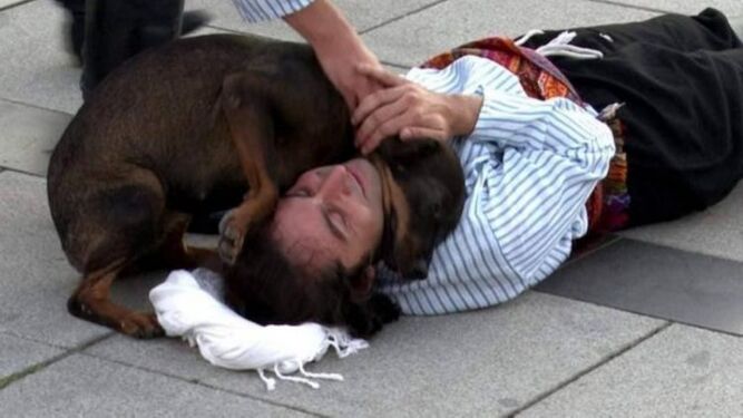 Un perro callejero protector socorre a un actor que fingía estar muerto