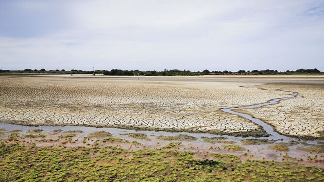 La laguna de Santa Olalla se seca.