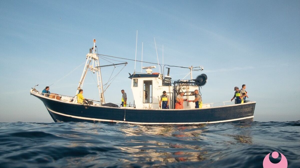 Finito engañar Relacionado La empresa de Tarifa JC Mackintosh logra el certificado MSC de pesca  sostenible de atún rojo