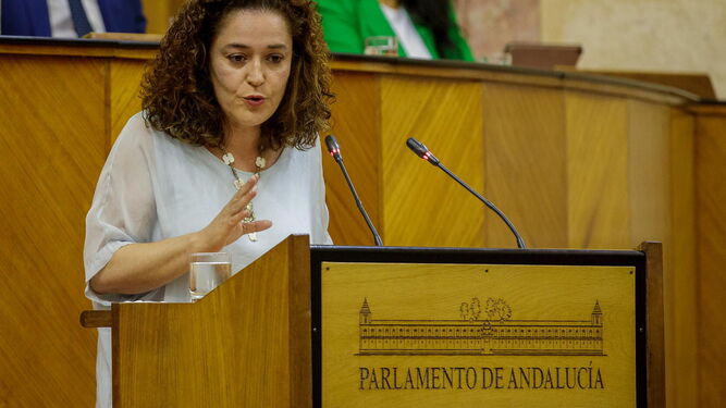 Inmaculada Nieto en el Parlamento de Andalucía.