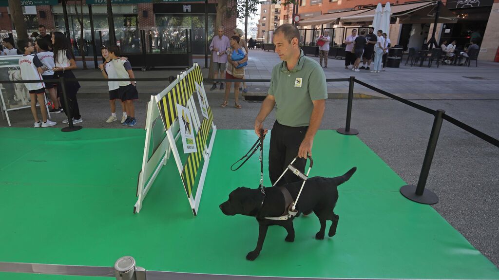 Fotos de la exhibici&oacute;n de perros gu&iacute;a de la ONCE en Algeciras