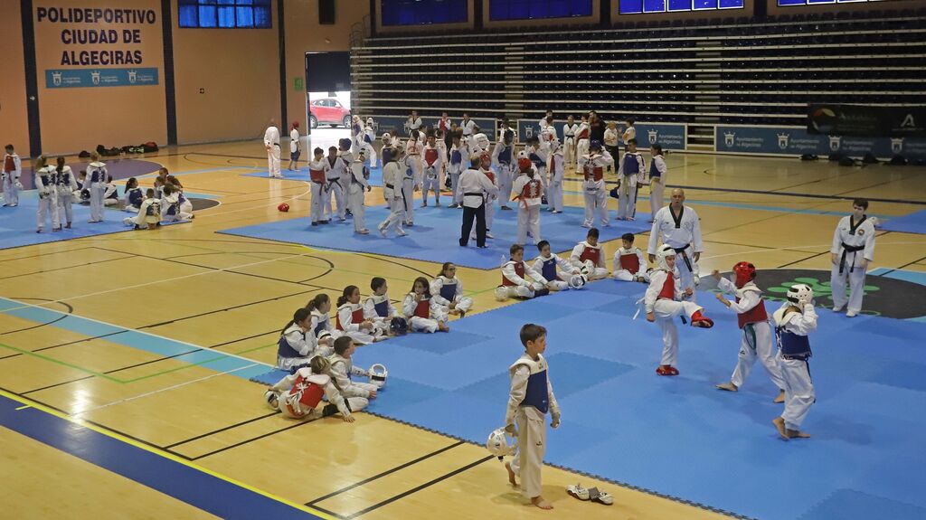 Fotos del encuentro "Campeonato Promoci&oacute;n Deporte Base" de Taekwondo en Algeciras