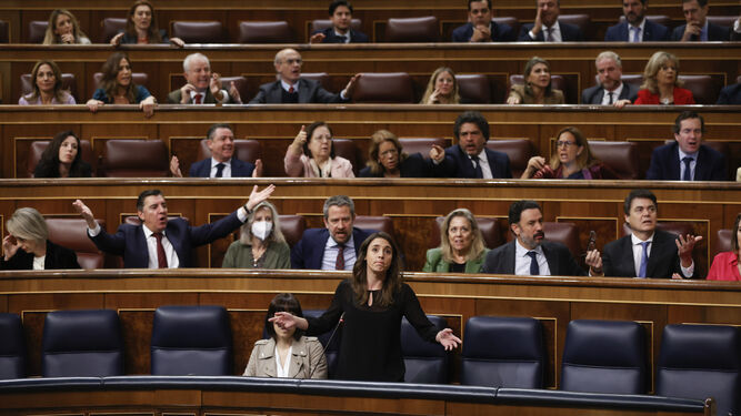 Irene Montero, en el Congreso.