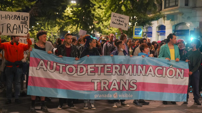 Una protesta reciente del colectivo trans en Andalucía.