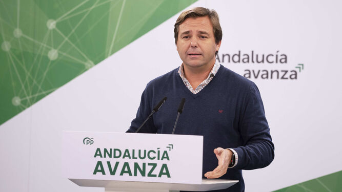 El secretario general del PP en Andalucía, Antonio Repullo en la sede del partido en Sevilla.